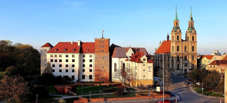 布若赞格酿酒厂酒店(Park Hotel & Restauracja Browar Brzeg)图片