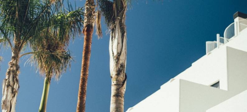 Cala Lanuza套房(Cala Lanuza Suites)图片