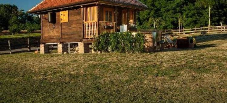 AMBAR微型房屋(Tiny House Ambar)图片