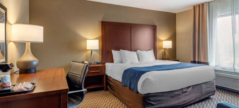 舒适套房酒店(Comfort Inn & Suites)图片