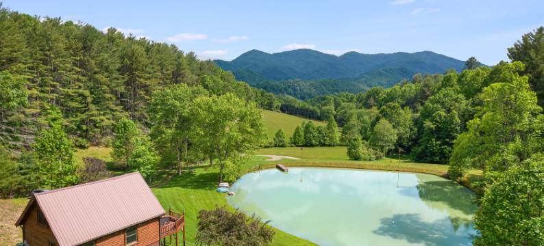 Tranquil Pond and Cozy Deck - Charming Rustic Retreat图片
