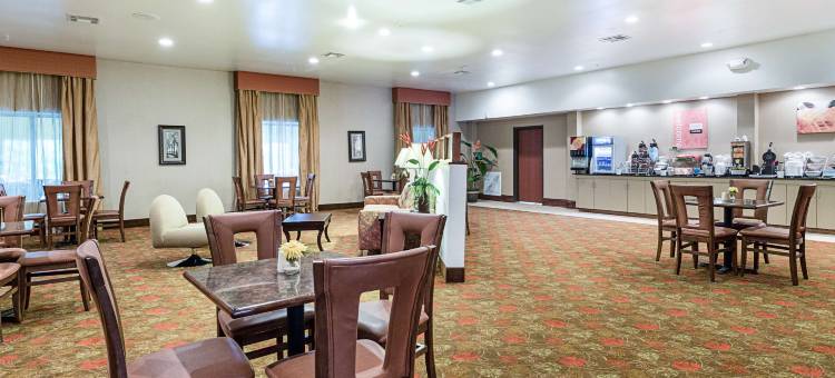 康福特套房利斯维尔靠近约翰逊堡(Comfort Suites Leesville Near Fort Johnson)图片