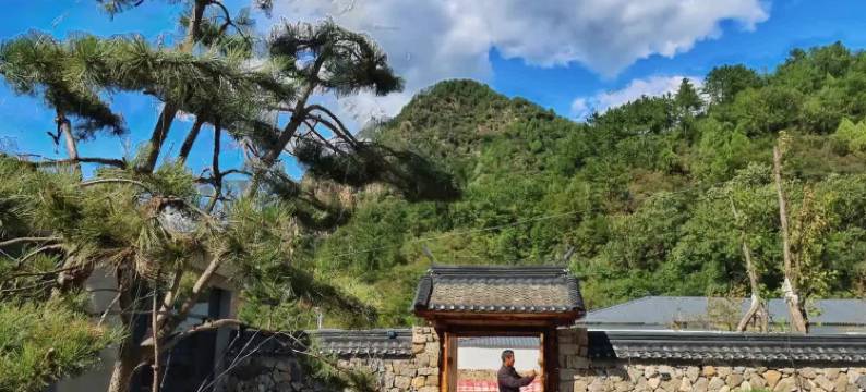 兴隆森林乡居图片