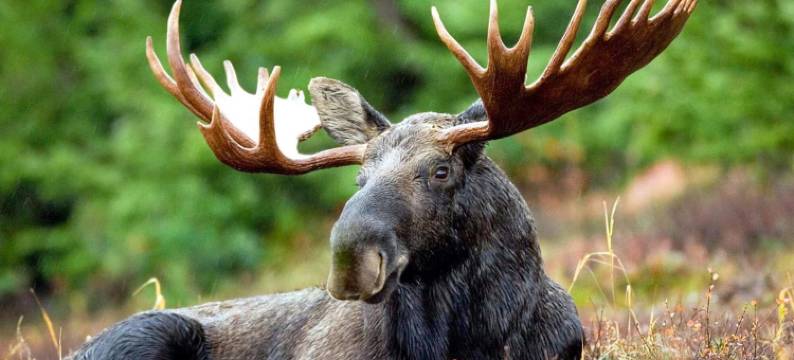 在ED的6人假日住宅(6 Person Holiday Home in ED)图片