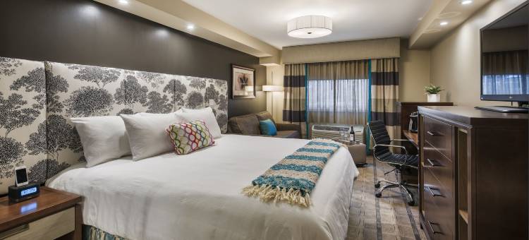 肯尼尔沃思酒店 - 机场西(The Kenilworth Hotel - Airport West)图片
