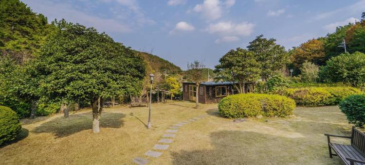 丽水树下鸟巢旅馆(Yeosu Supsokae Pension)图片