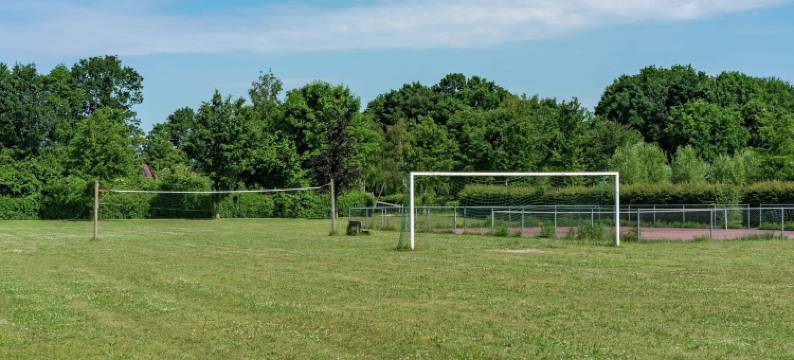 荷兰乡村宁静独立木屋(Detached Chalet in Tranquil Dutch Countryside)图片
