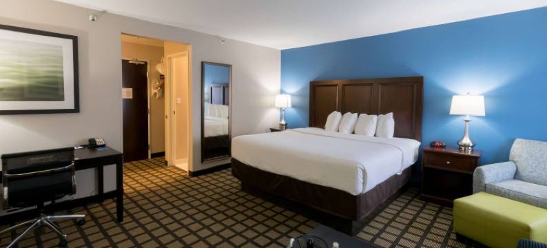 底特律机场-罗穆勒斯呗盟套房酒店(Baymont by Wyndham Detroit Airport/Romulus)图片