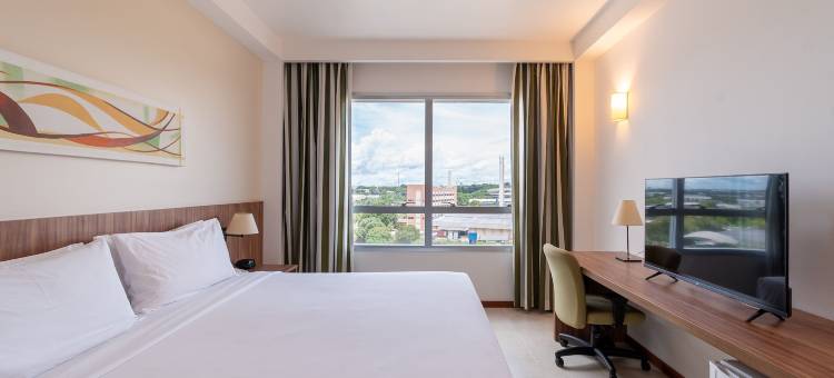 玛瑙斯假日酒店(Holiday Inn Manaus)图片