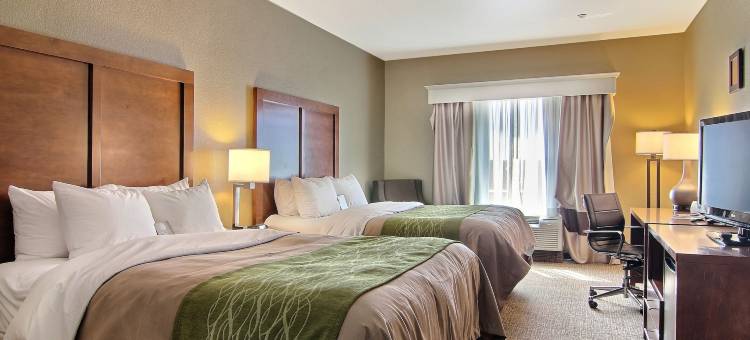 南米德兰I-20舒适酒店(Comfort Inn Midland South I-20)图片
