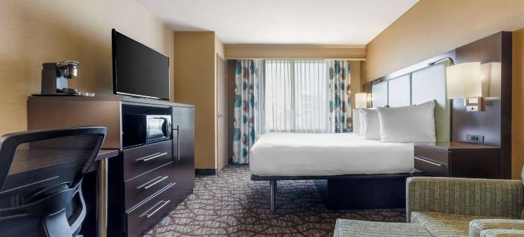 欧申赛德棕榈贝斯特韦斯特优质酒店(Best Western Plus Oceanside Palms)图片