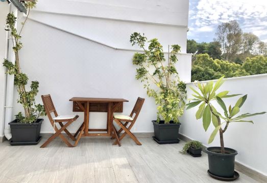 Centro Picacho Hotel Overview