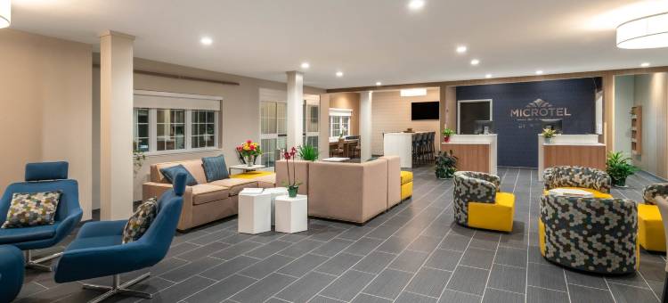 卡莱尔温德姆麦客达套房酒店(Microtel Inn & Suites by Wyndham Carlisle)图片