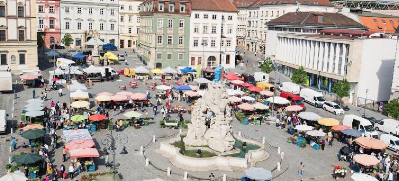 唤醒养生青年旅舍(Wake up Wellness Hostel)图片