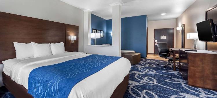 俄克拉何马城舒适酒店(Comfort Inn & Suites Oklahoma City South I-35)图片