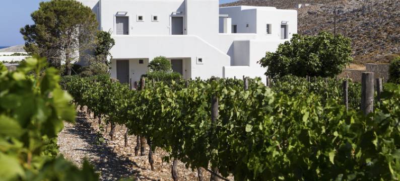 ANEMI福莱甘德罗斯(Anemi Folegandros)图片