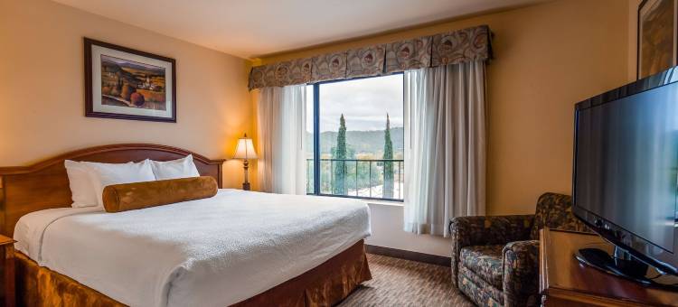 艾尔格兰德贝斯特韦斯特酒店(Best Western El Grande Inn)图片