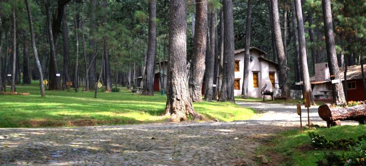 谢拉维斯塔酒店(Sierra Vista)图片