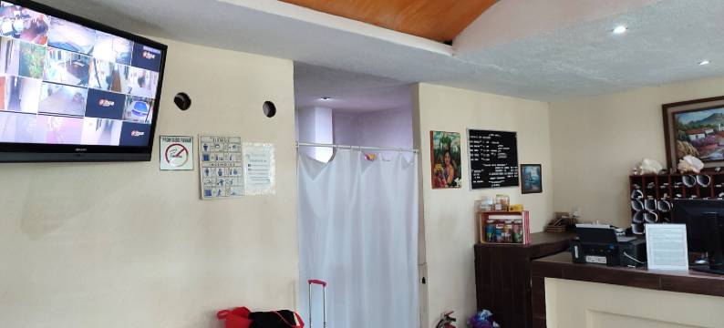 阿什利酒店(Hotel Ashly)图片