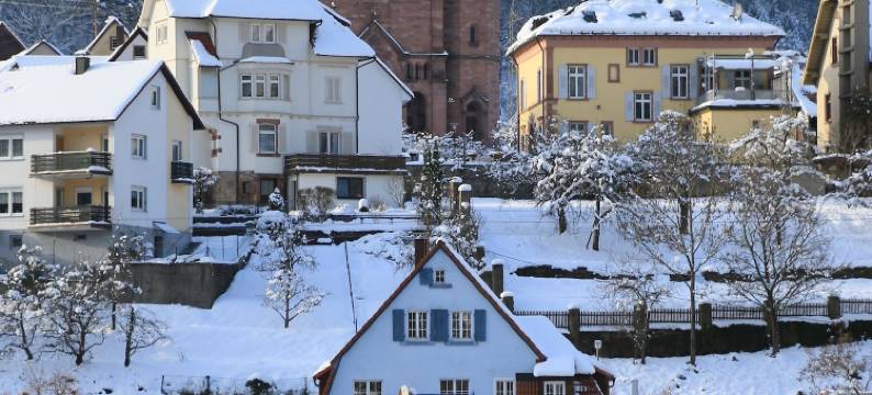 达斯瓦尔德豪斯酒店(Das Waldhaus)图片