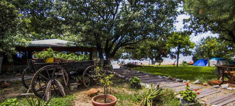 阿戈拉艺术村(Agora Sanat Köyü)图片