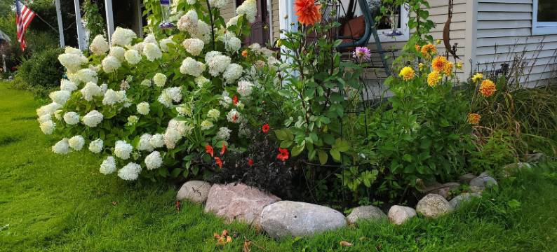 甜蕨客栈(Sweetfern Inn)图片