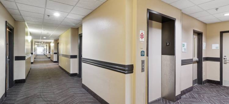 斯莱德尔假日酒店及套房(Holiday Inn & Suites Slidell - New Orleans Area)图片