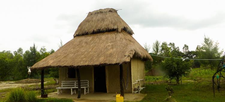 背包客生态村酒店(Backpackers Eco Village)图片