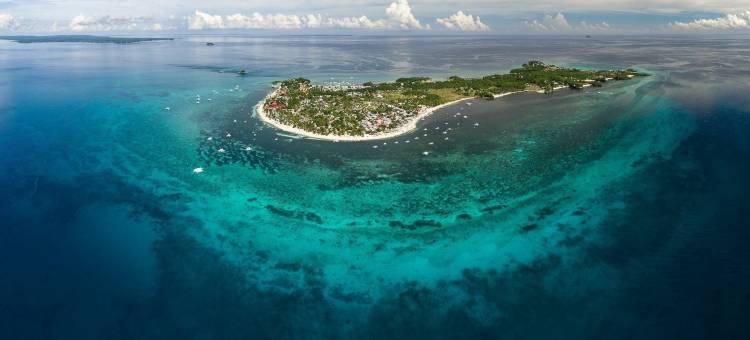 海洋维达酒店(Ocean Vida Beach and Dive Resort)图片