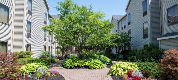 罗切斯特/维克特欢朋酒店及套房(Hampton Inn & Suites Rochester/Victor)图片