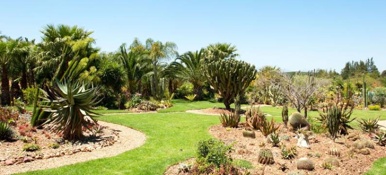 索克尔斯霍夫莫与罗斯酒店(Mo & Rose's Nature Retreat)图片