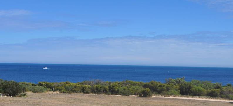 无花果树床和早餐酒店(The Fig Tree B&B)图片