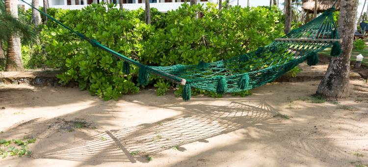 海龟湾大酒店(Turtle Bay Boutique Hotel)图片