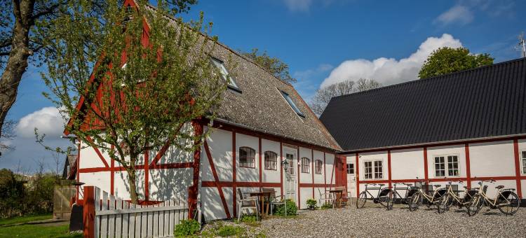 荣主教区长住宿加早餐旅馆(Jungshoved Præstegård B&B)图片