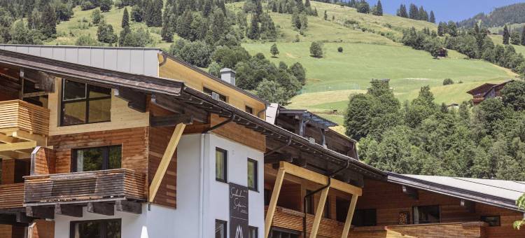 萨尔巴赫滑雪区附近的套房(Suite in Saalbach Near ski Area)图片