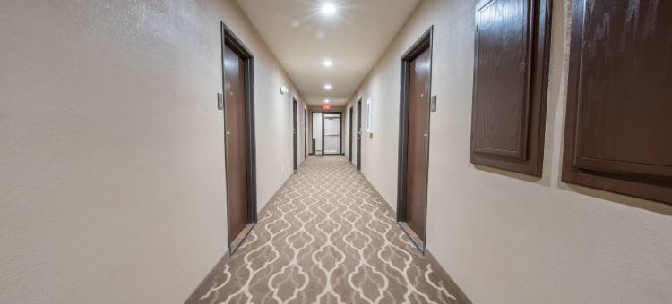 舒适套房酒店(Comfort Inn & Suites Pinetop Show Low)图片