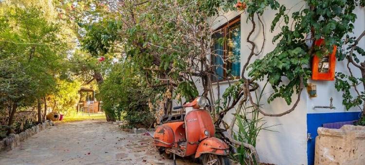 泽伊廷膳宿公寓帕拉穆特布库(Zeytin Pansiyon Palamutbükü)图片