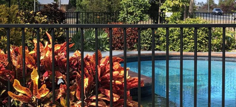 真蓝汽车旅馆(True Blue Motor Inn)图片