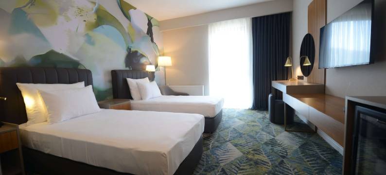 温德姆花园坎巴西(Wyndham Garden Cambasi)图片