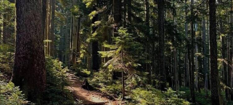 橡树谷隐居处民宿旅舍咖啡馆(Oak Valley Retreat Homestay Hostel Cafe)图片