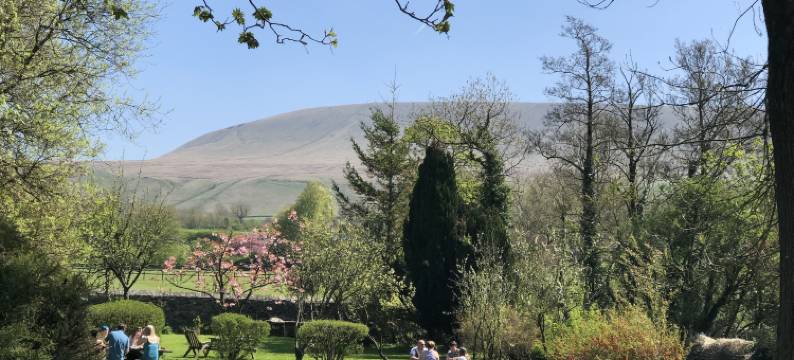小牛头酒店(Calf's Head Hotel)图片