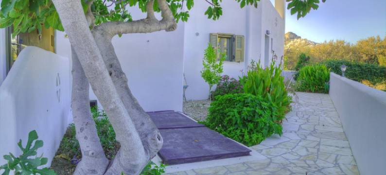 到皮萨里酒店(To Pithari)图片