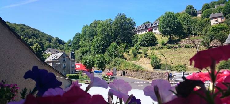 杜班布里特酒店(Brit Hotel du Ban)图片