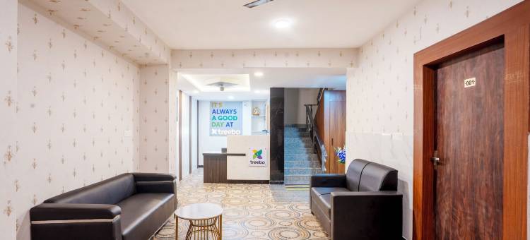 Treebo KT Grand图片