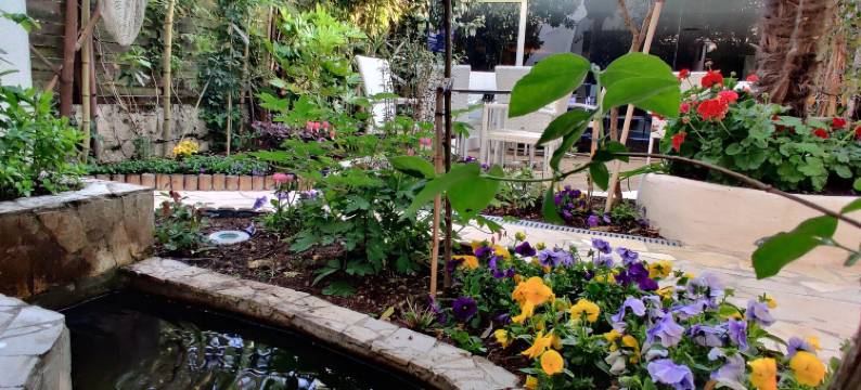 布鲁特罗吉思酒店(Logis Hôtel les Bleuets)图片