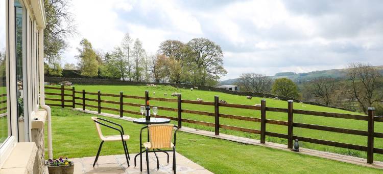 西部马鞍(West Reins)图片