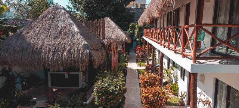 蓝色酒店 36(Azul 36 Hotel)图片