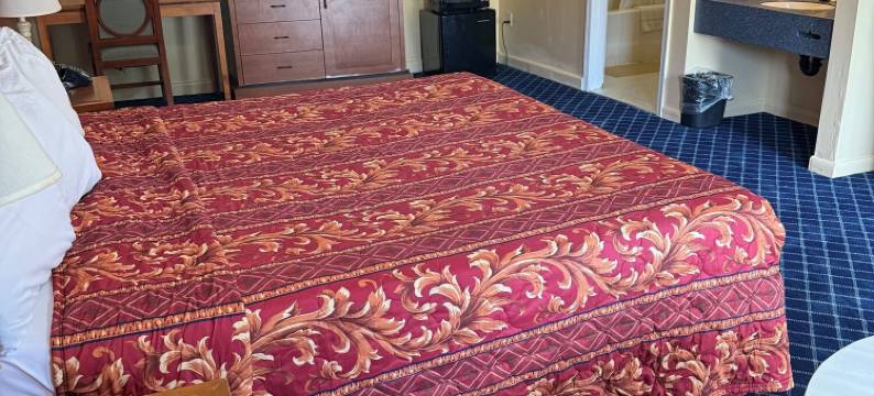 大西洋城美国星辰套房酒店(American Star Inn & Suites Atlantic City)图片