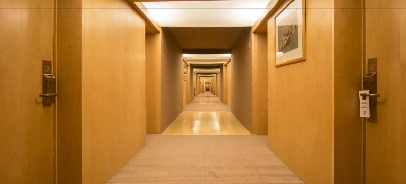 阿尔伯拉达酒店(Hotel Alborada)图片