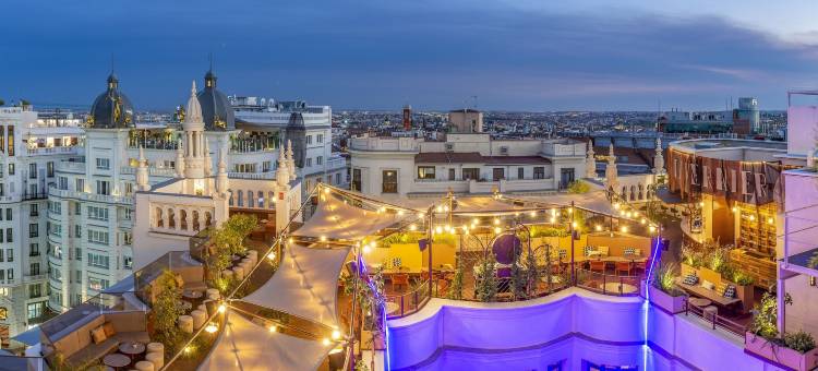 INNSiDE by Meliá 马德里格兰大街(INNSiDE by Meliá Madrid Gran Vía)图片